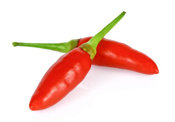 red hot bird chili pepper nature isolated on white background